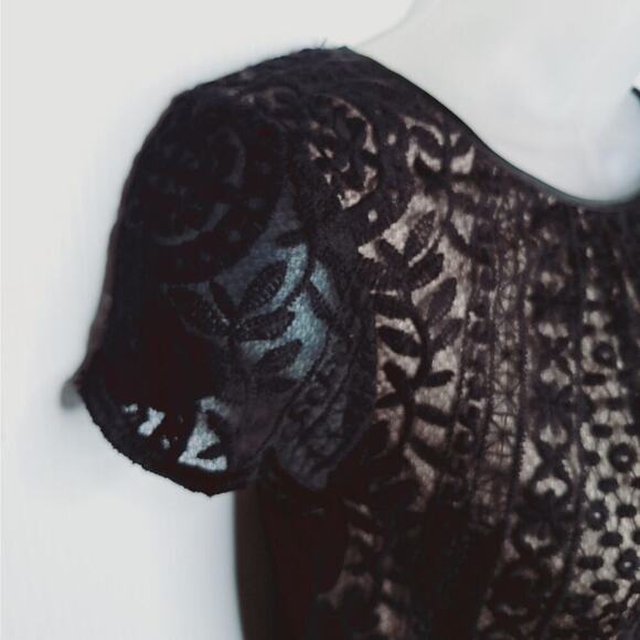 Adrianna Papell Pleat Stripe Filagree Dress Lace Overlay Fit Flare Cap Sleeve 10 - Picture 5 of 14